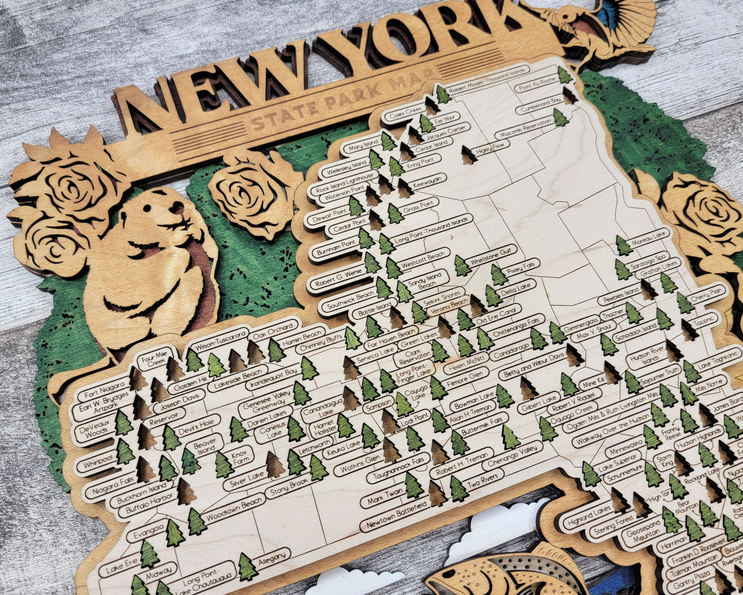 New York State Park Map