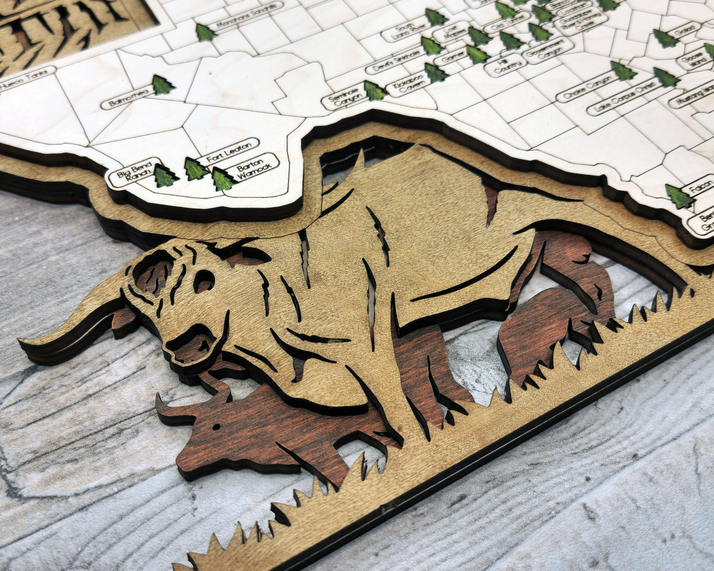 Texas State Park Map