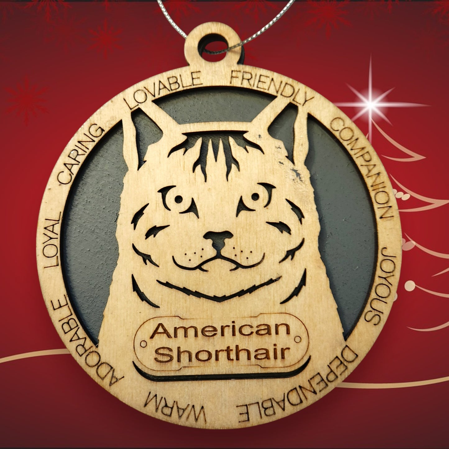 American Shorthair Cat (No Icons)