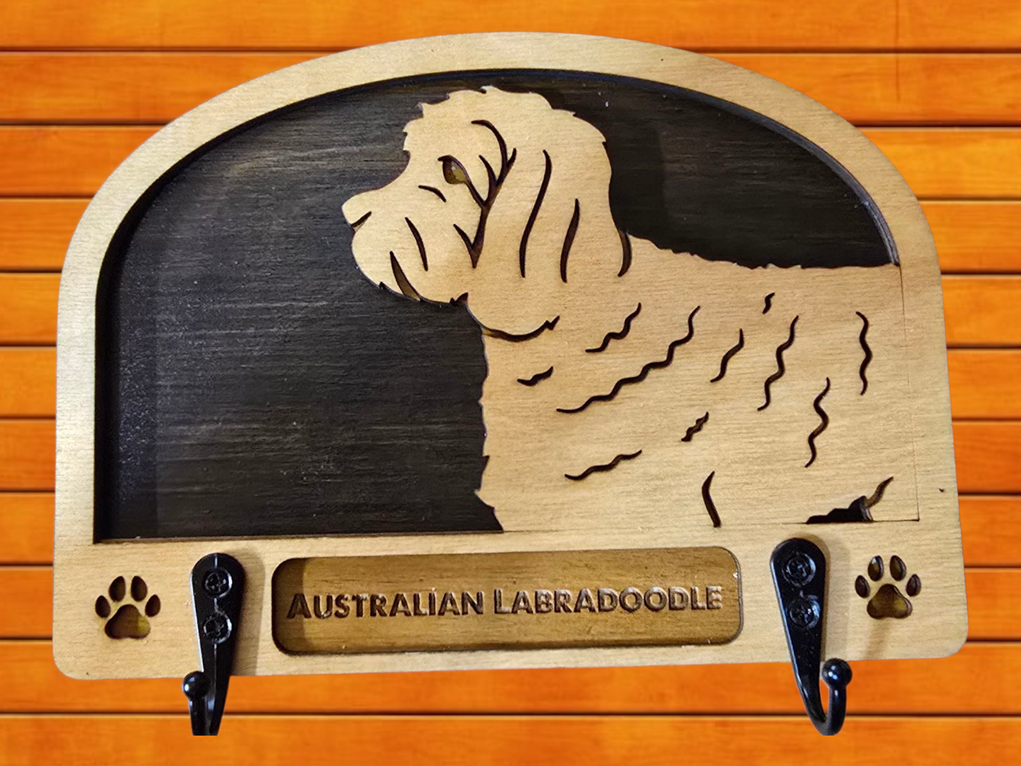 Australian Labradoodle