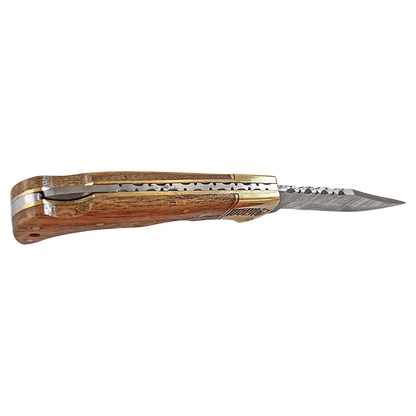 Bison River Kinfe with Damascus Steel Blade (Folding and Fixed Blade