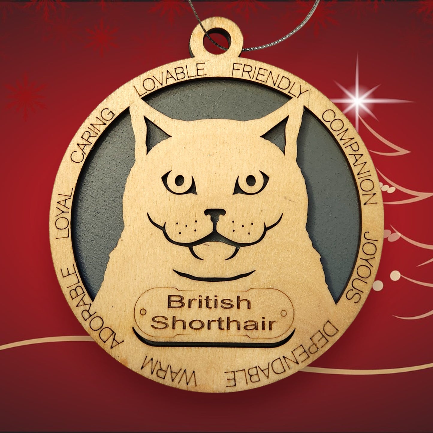 British Shorthair Cat (No Icons)
