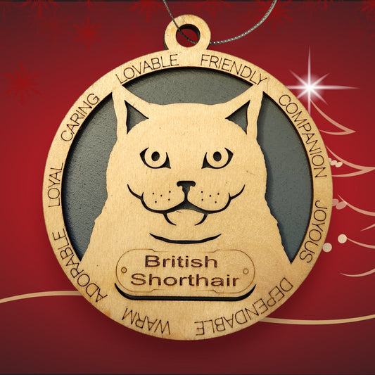 British Shorthair Cat (No Icons)