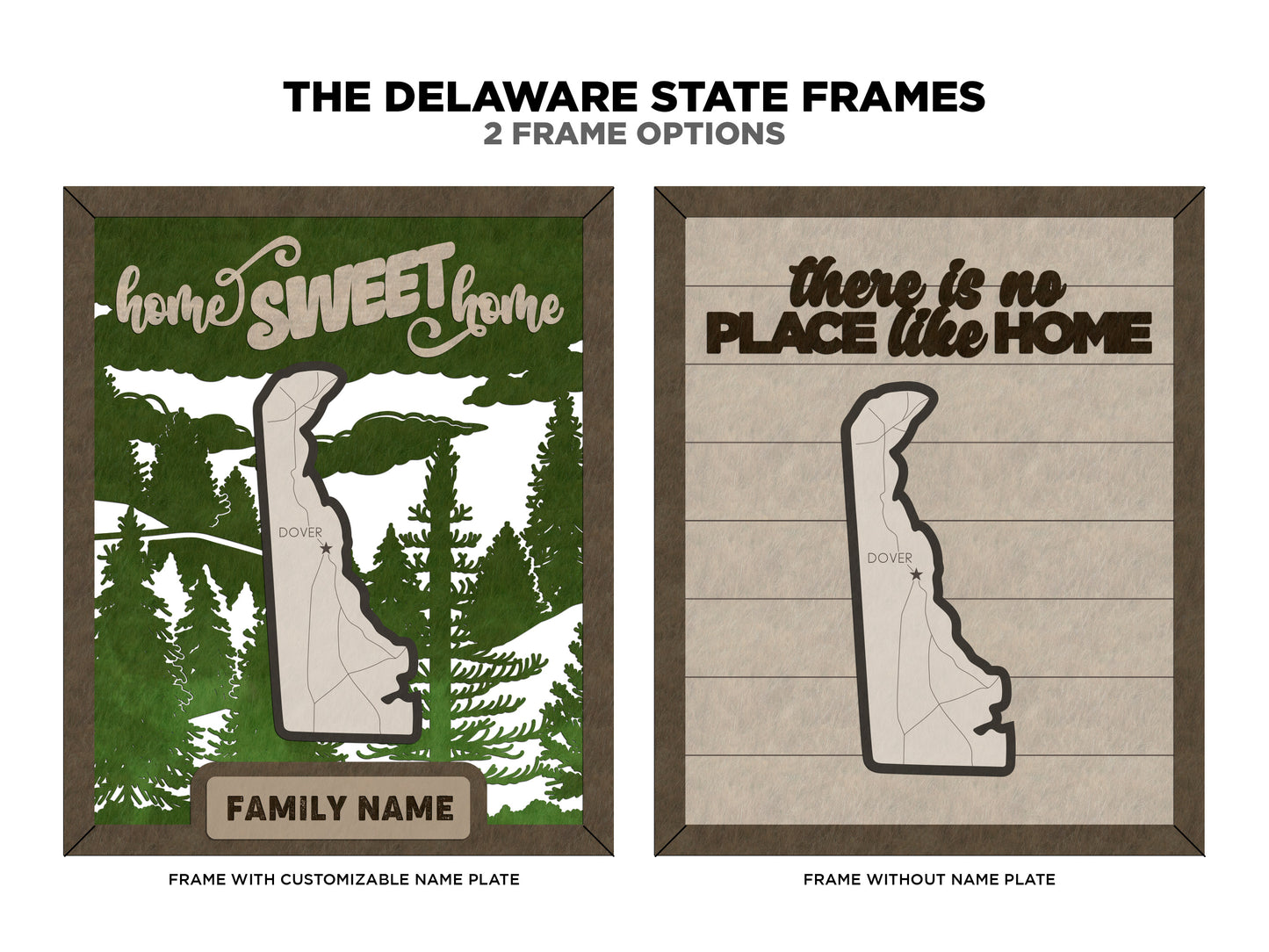 Delaware State Frame