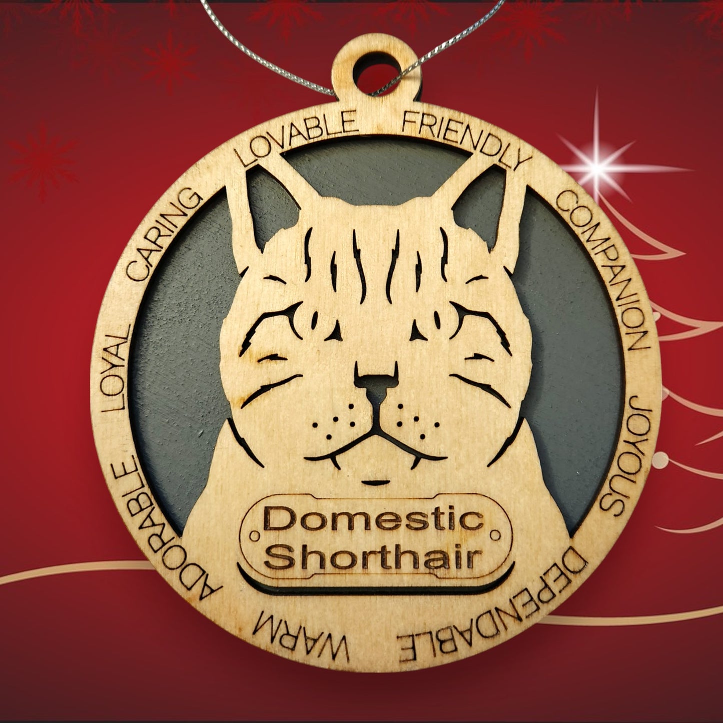 Domestic Shorthair Cat (No Icons)