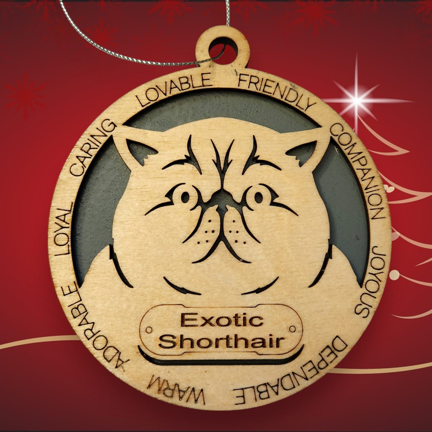 Exotic Shorthair Cat (No Icons)