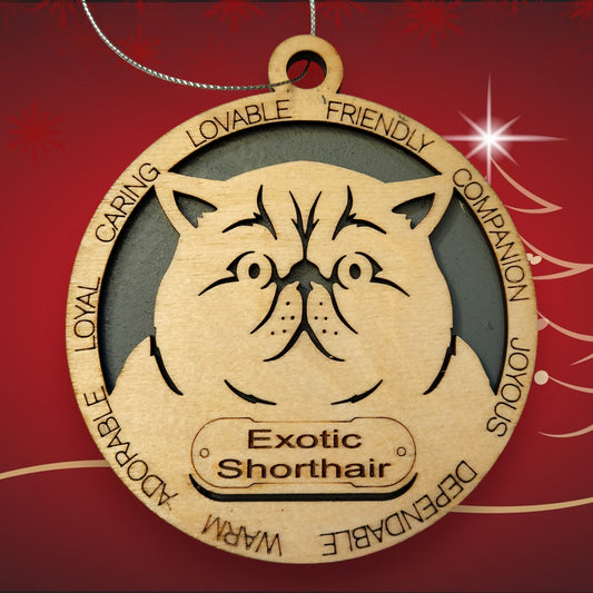 Exotic Shorthair Cat (No Icons)