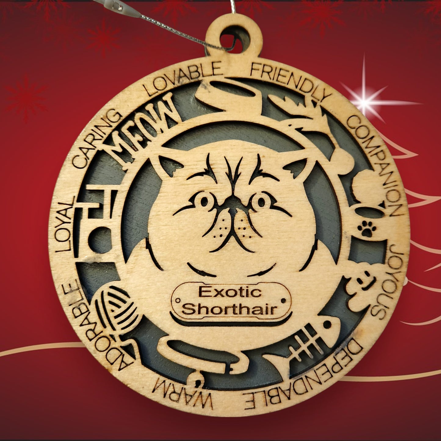 Exotic Shorthair Cat (With Icons)