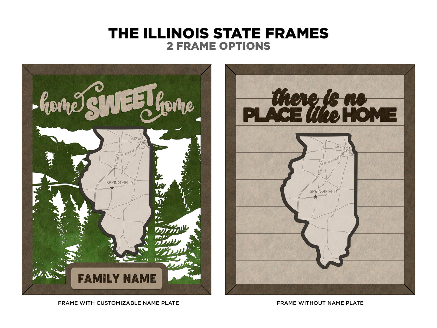 Illlinois State Frame
