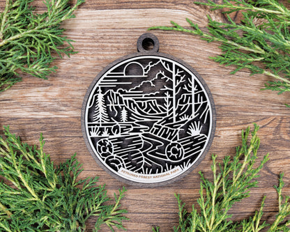 Petrified Forest National Park Line Art Ornament
